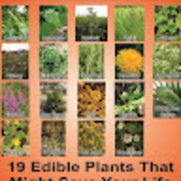 Meet your Posher, Christopher - Picture 1 of 1